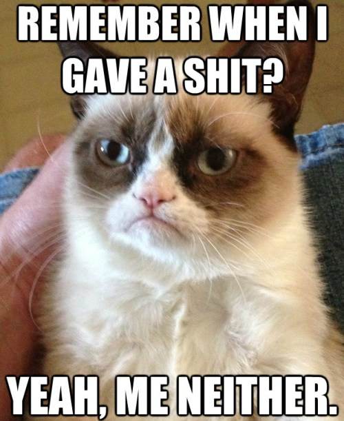 Grumpy Cat