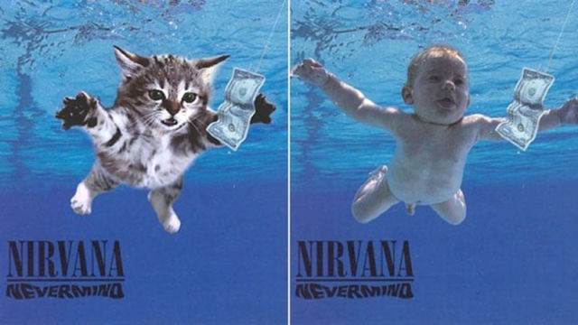 Kitten Inspired Album Art