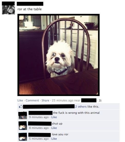 Weird Facebook Dog