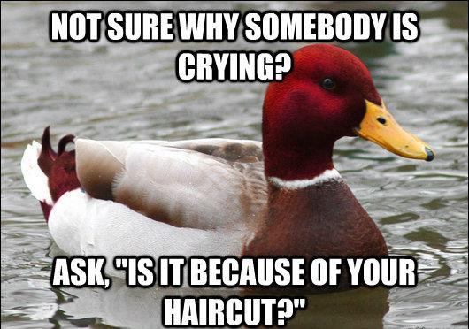 Malicious Advice Mallard Meme