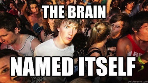 Sudden Clarity Clarence Meme Brain