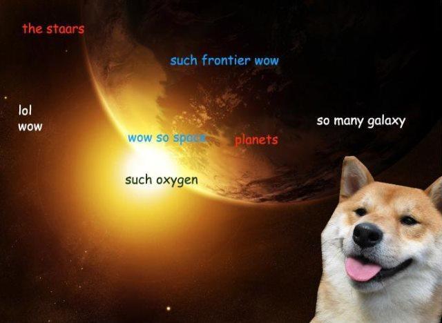 Funny Shibe Memes