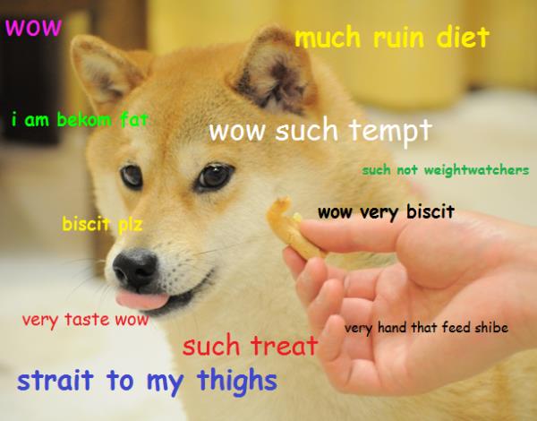 Doge Cookie