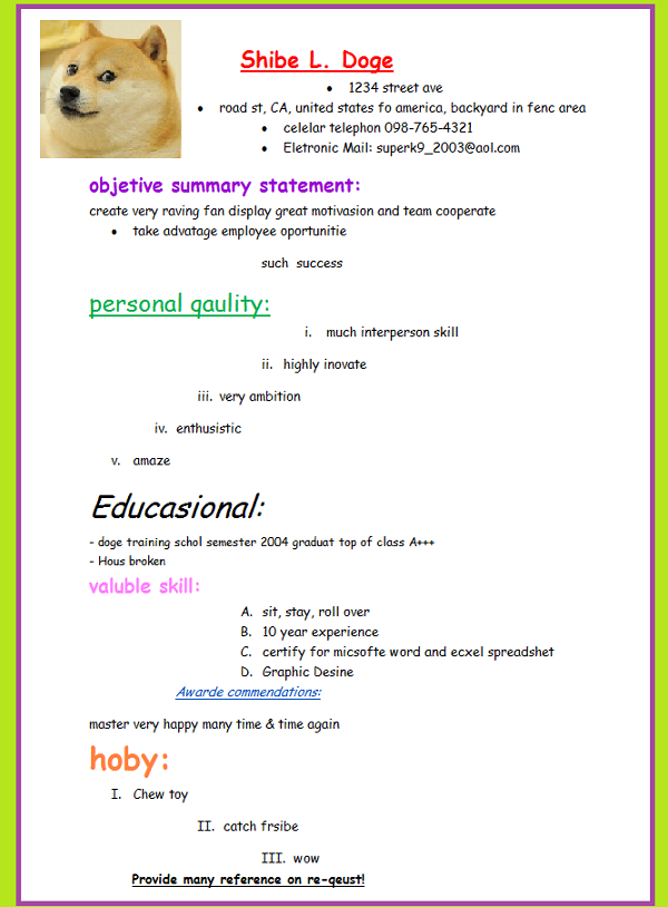 Doge Resume