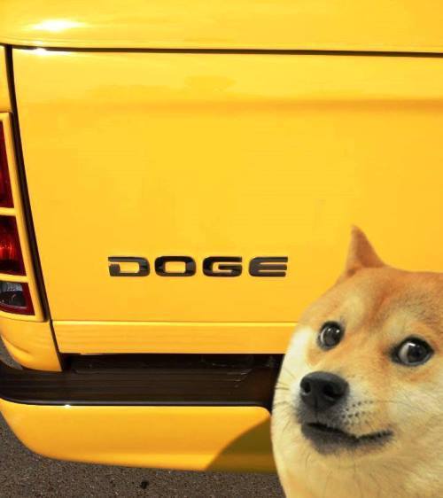 Doge