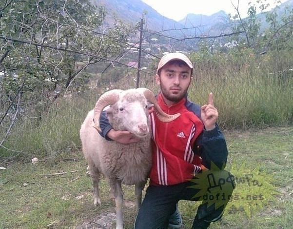 Russian Dating Photo Goat