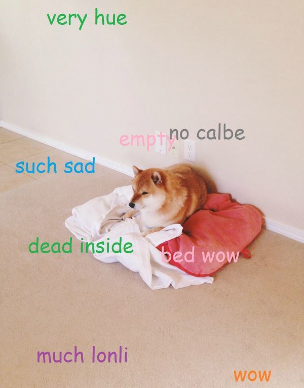 Shiba Inu Meme Very Sad