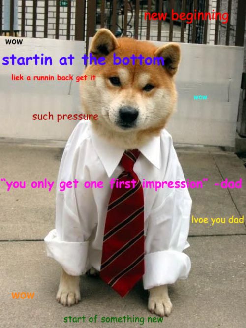 Shibe Goes To Work