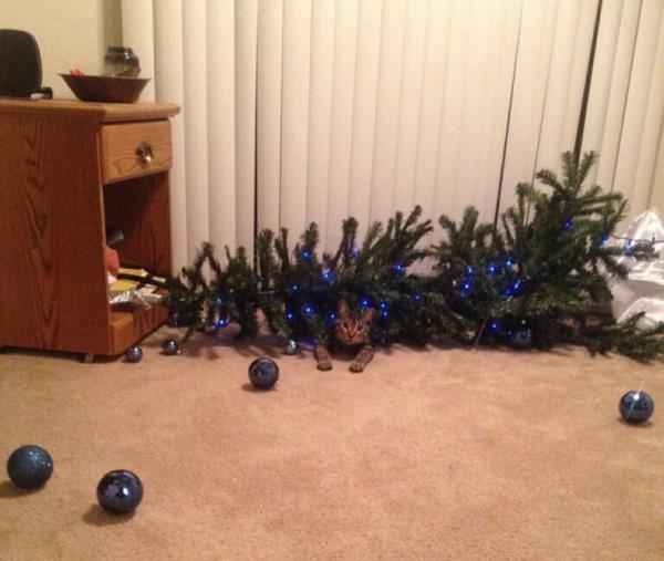 Cat Takes Down Christmas Tree