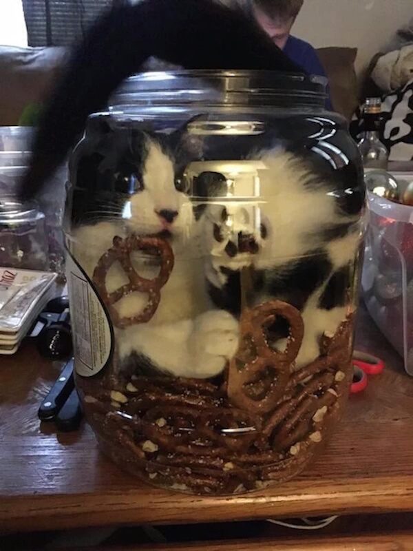 Pretzel Jar