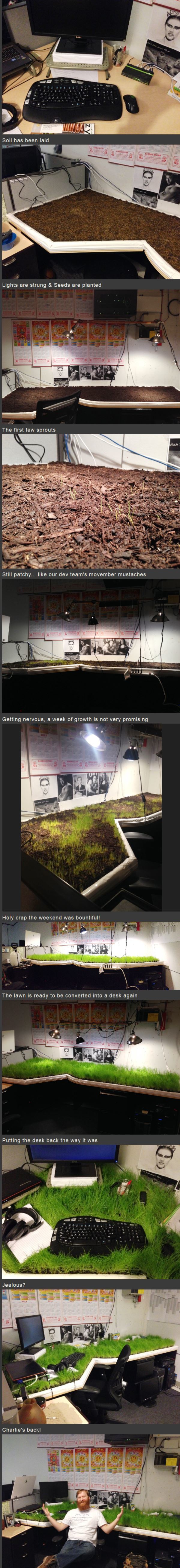 Genius Pranks Grass Office