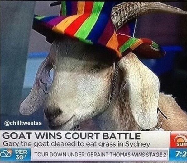 Meanwhile In Australia