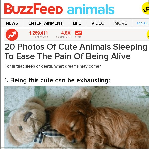 Funny Buzzfeed Articles