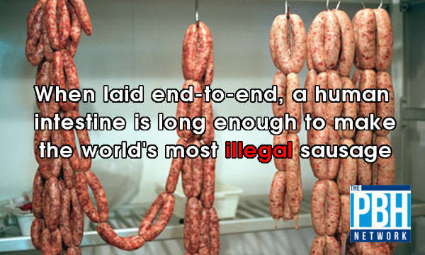 Illegal Sausage