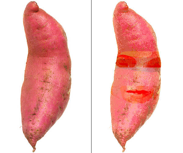 Sweet Potato