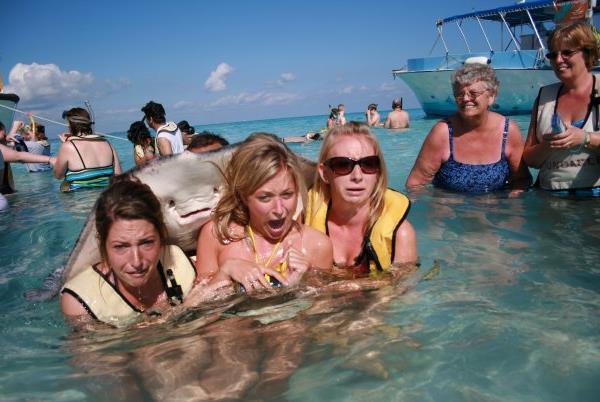 Stingray Photobomb