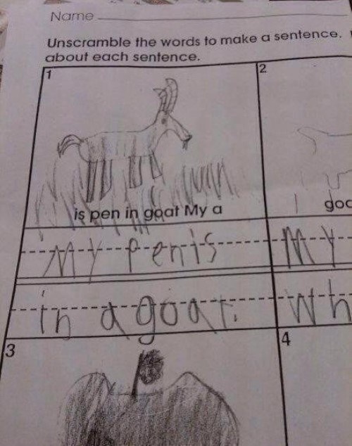 Hilarious Test Answers