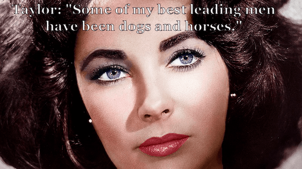 Elizabeth Taylor Quotes