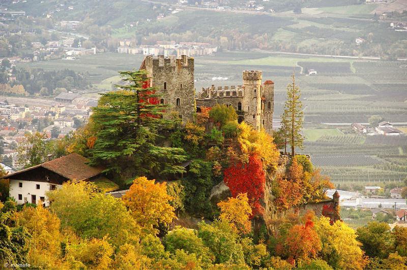 Fall Backdrops