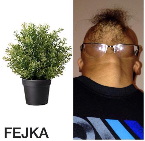 Ikea Costume Contest Plant