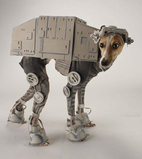 Star Wars Dog