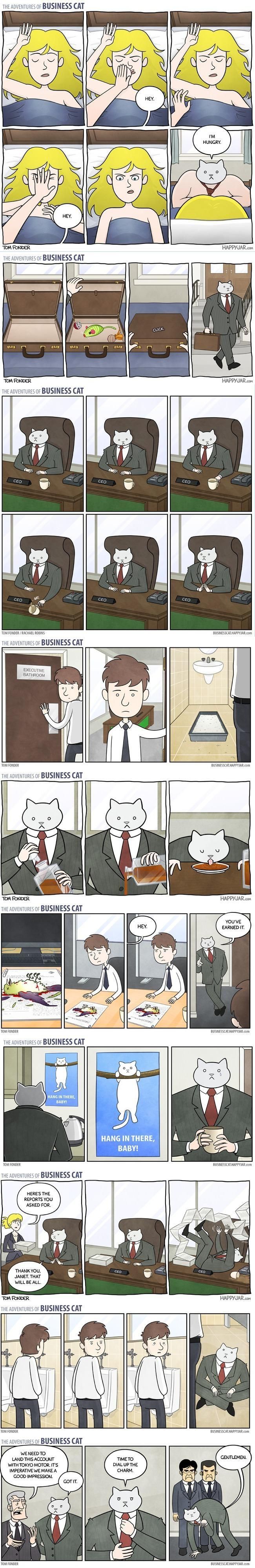 Business Cat