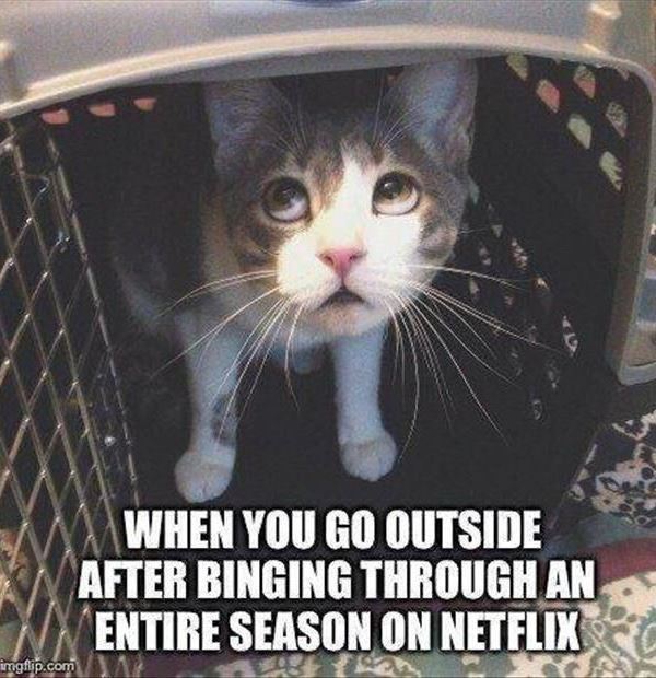 Funny Pinterest Pictures Netflix