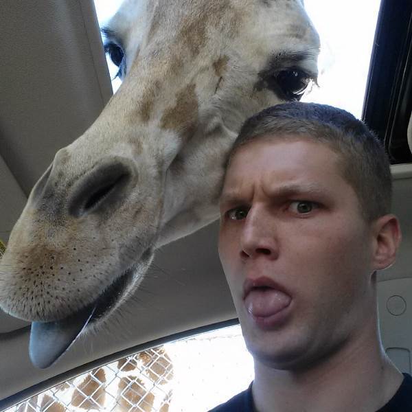 Giraffe Photobomb