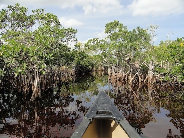 scenic-spots-everglade-national-park