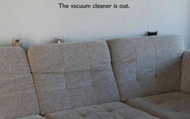 Vacuum Cleaner