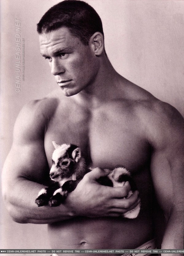 Shirtless Men With Baby Animals