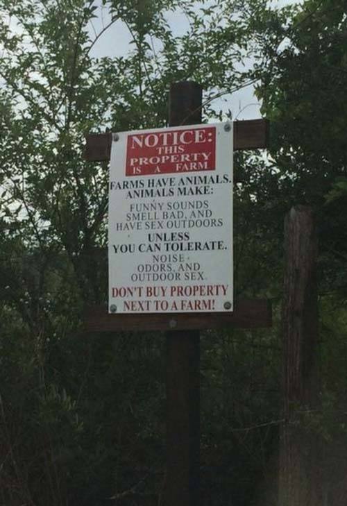 Passive Aggressive Notes Farm