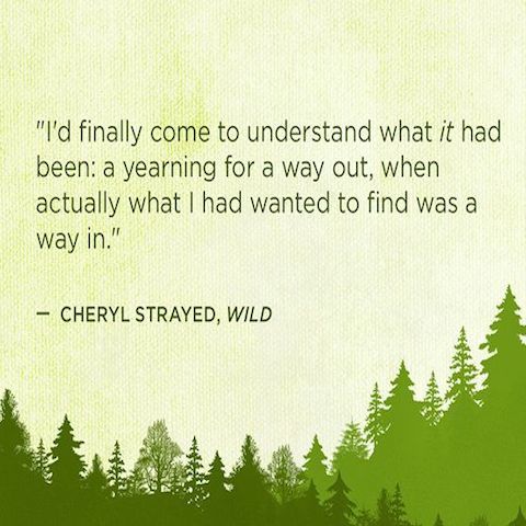 Cheryl Strayed Wild