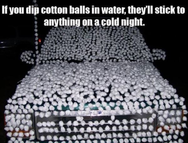 Cotton Balls