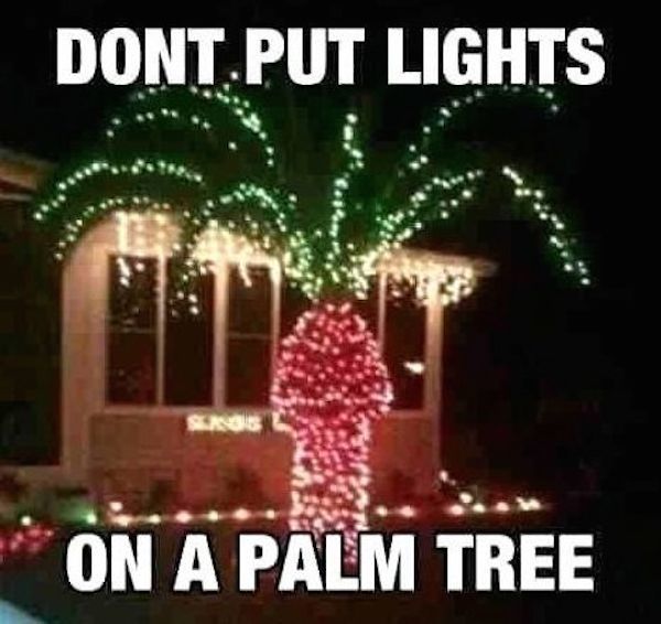 Palm Tree Penis