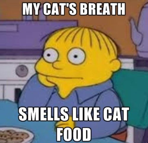 Ralph Wiggum Quotes Cat Breath