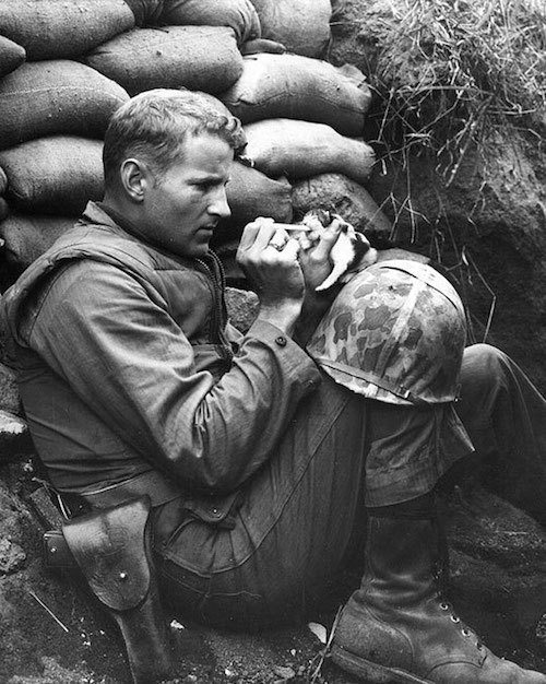 Soldier and Kitten