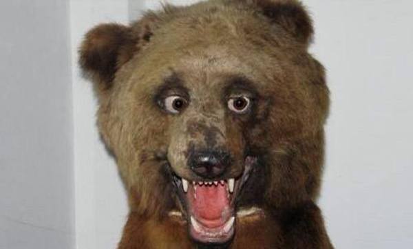 Drunk Bear Bad Taxidermy