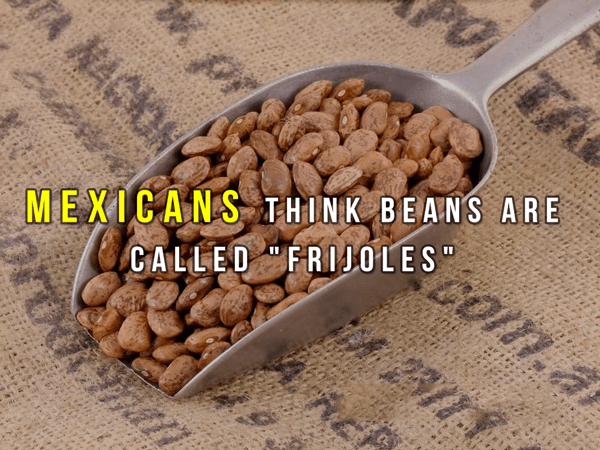 Useless Facts About Beans