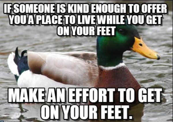 Actual Advice Mallard