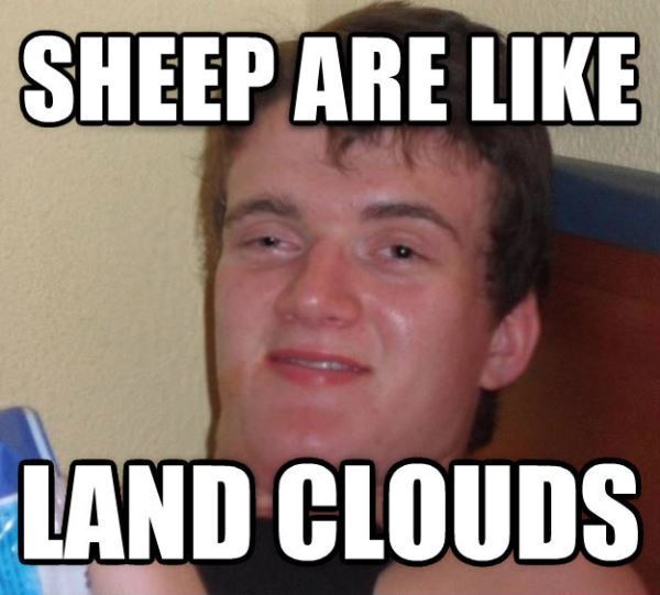 Sheep