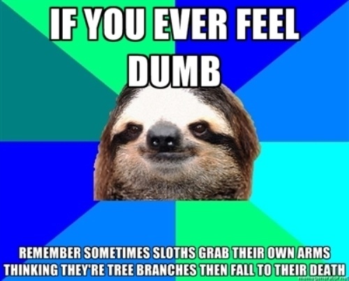 Sloths