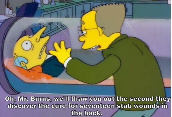 Thaw Out Mr Burns