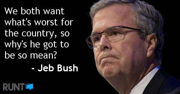 Jeb Bush