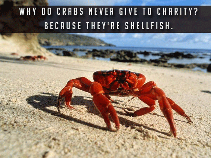 Shellfish