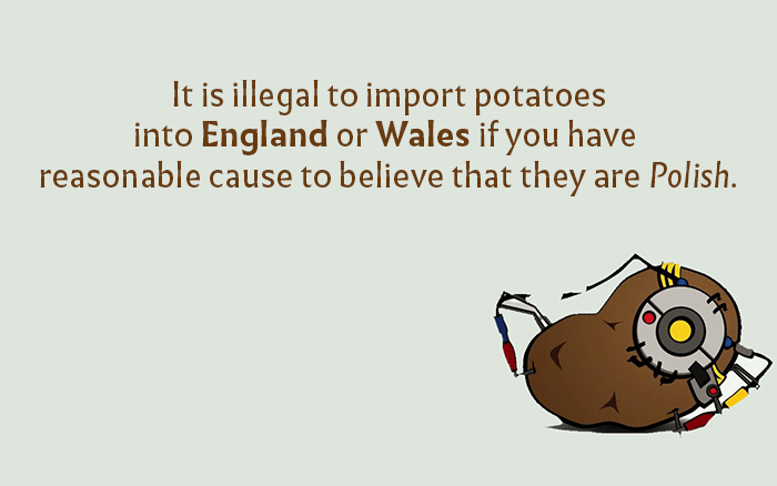 Imported Potatos