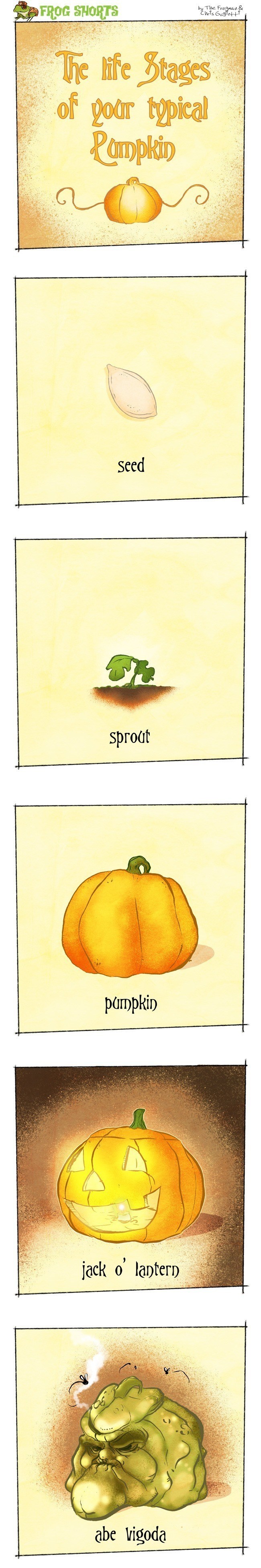 Frog Shorts Pumpkin