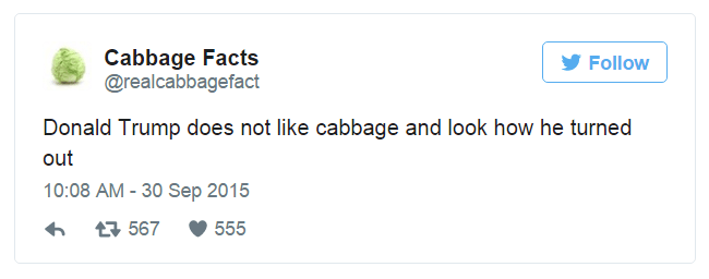 Cabbage