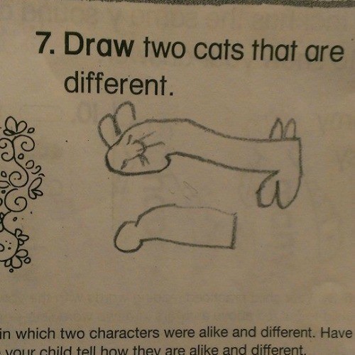 Cat Drawing