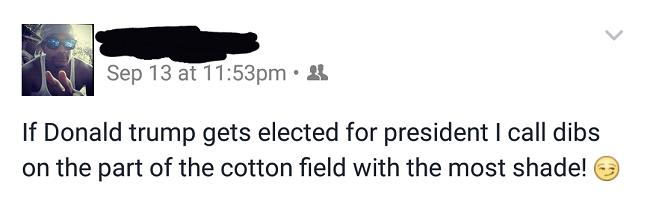 Cotton Field